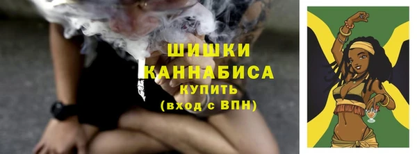 СК Гусь-Хрустальный
