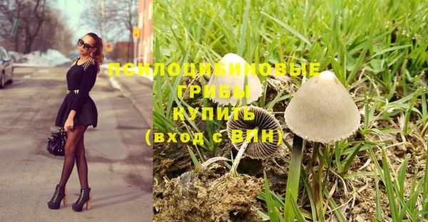 прущие крисы Тайга