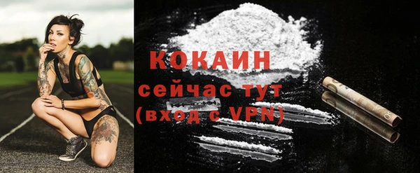 СК Гусь-Хрустальный