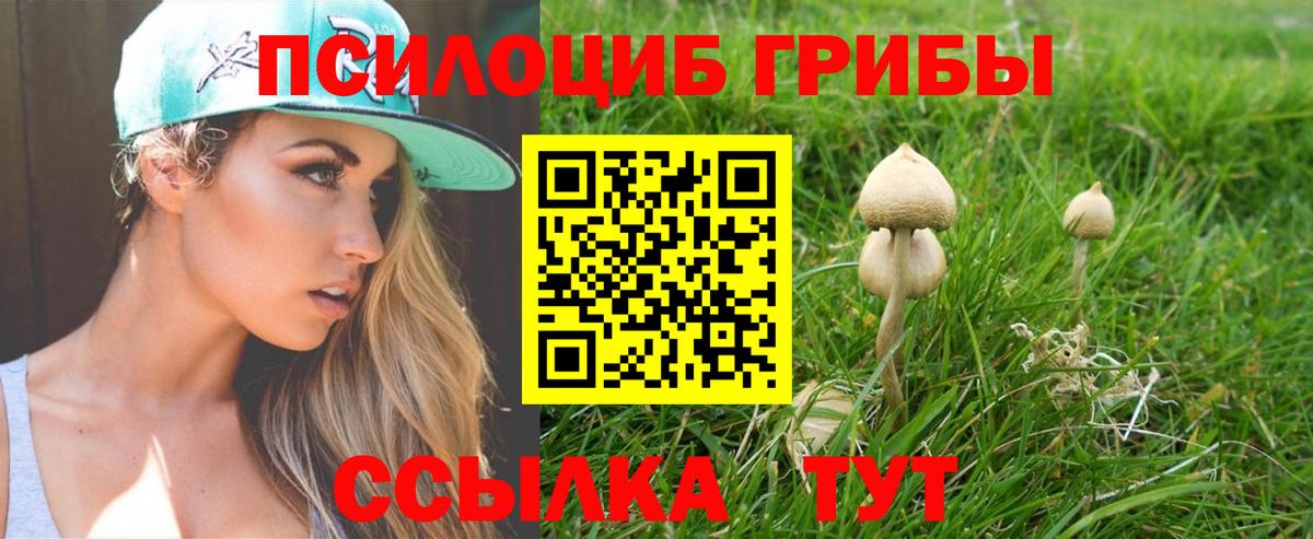 Егорьевск  Псилоцибиновые грибы Magic Shrooms  Вход с VPN 