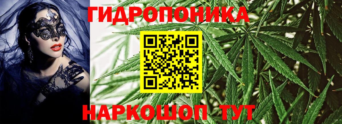 Егорьевск  Бошки Шишки семена  Канабис конопля  Конопля марихуана  Марихуана OG Kush  Вход с VPN 